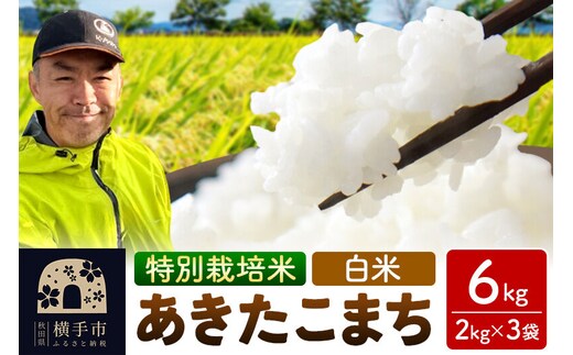 秋田県 横手市 【白米】令和7年産 秋田県産 特別栽培米 あきたこまち 6kg（2kg×3袋） [秋田県産 あきたこまち 秋田こまち 特別栽培米 令和7年産 白米]