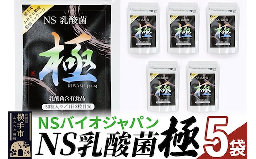 NS乳酸菌「極」(横手市特別パッケージ) 5パック ゆうパケット