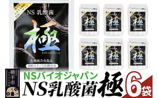 NS乳酸菌「極」(横手市特別パッケージ) 6パック ゆうパケット