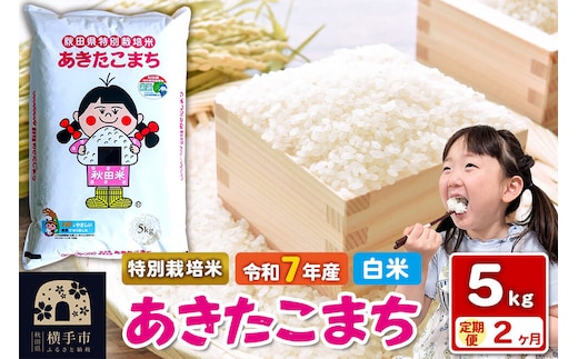 令和7年産【白米】《定期便2ヶ月》特別栽培米 あきたこまち 5kg 秋田県 横手市 [秋田県産 あきたこまち 秋田こまち]