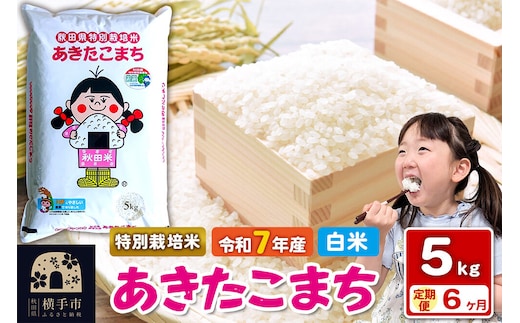 令和7年産【白米】《定期便6ヶ月》特別栽培米 あきたこまち 5kg 秋田県 横手市 [秋田県産 あきたこまち 秋田こまち]