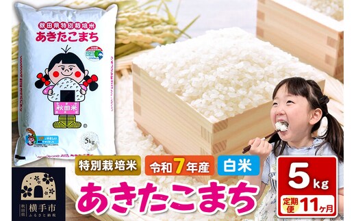 令和7年産【白米】《定期便11ヶ月》特別栽培米 あきたこまち 5kg 秋田県 横手市 [秋田県産 あきたこまち 秋田こまち]