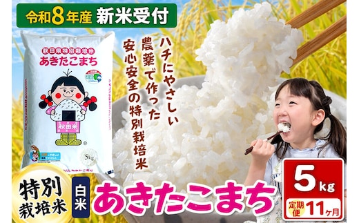《令和8年産 新米受付》【白米】《定期便11ヶ月》特別栽培米 あきたこまち 5kg 秋田県 横手市 [新米 先行予約 秋田県産 あきたこまち 秋田こまち 米 お米 こめ]
