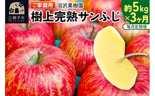 【先行受付】12月上旬より発送 《定期便3ヶ月》樹上完熟サンふじ ご家庭用 約5kg（13～23玉前後）×3回 計15kg 3か月 3ヵ月 3カ月 3ケ月 [先行予約 サンふじ サンフジ 林檎 リンゴ 家庭用 不揃い 定期便 【りんご】特集]