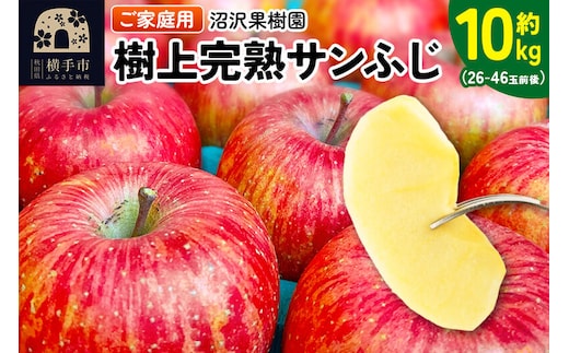 【先行受付】12月上旬より発送 樹上完熟サンふじ ご家庭用 約10kg（26～46玉前後） [先行予約 サンふじ サンフジ 林檎 リンゴ 家庭用 不揃い おまかせ 【りんご】特集]