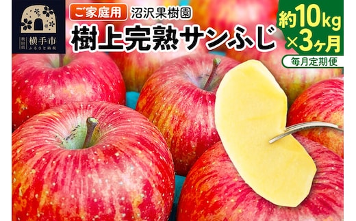 【先行受付】12月上旬より発送 《定期便3ヶ月》樹上完熟サンふじ ご家庭用 約10kg（1回26～46玉前後）×3回 計30kg 3か月 3ヵ月 3カ月 3ケ月 [先行予約 サンふじ サンフジ 林檎 リンゴ 家庭用 不揃い 定期便 【りんご】特集]