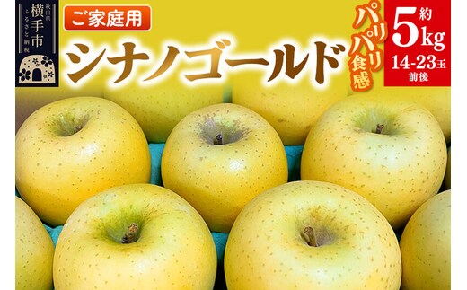 【先行受付】1月中旬より発送 パリパリ食感シナノゴールド ご家庭用 約5kg（14～23玉前後） [先行予約 しなのごーるど 林檎 りんご リンゴ 家庭用 不揃い おまかせ 【りんご】特集]