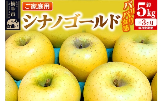 【先行受付】1月中旬より発送 《定期便3ヶ月》パリパリ食感シナノゴールド ご家庭用 約5kg（14～23玉前後）×3回 計15kg 3か月 3ヵ月 3カ月 3ケ月 [先行予約 しなのごーるど 林檎 りんご リンゴ 家庭用 不揃い 定期便 【りんご】特集]