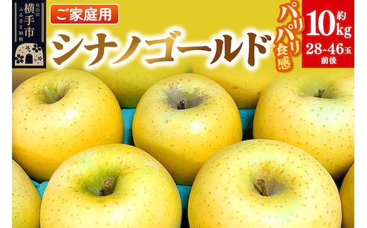 【先行受付】1月中旬より発送 パリパリ食感シナノゴールド ご家庭用 約10kg（28～46玉前後） [先行予約 しなのごーるど 林檎 りんご リンゴ 家庭用 不揃い おまかせ 【りんご】特集]