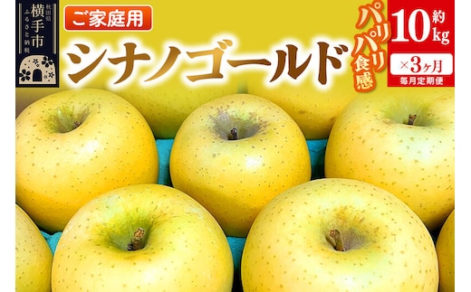 【先行受付】1月中旬より発送 《定期便3ヶ月》パリパリ食感シナノゴールド ご家庭用 約10kg（1回28～46玉前後）×3回 計30kg 3か月 3ヵ月 3カ月 3ケ月 [先行予約 しなのごーるど 林檎 りんご リンゴ 家庭用 不揃い 定期便 【りんご】特集]