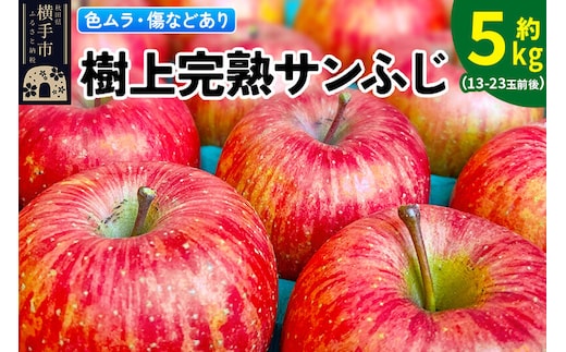 【先行受付】12月上旬より発送【色ムラ・キズ等あり】樹上完熟サンフジ 約5kg（13～23玉前後） [サンふじ サンフジ 林檎 リンゴ 家庭用 不揃い フルーツ 果物 【りんご】特集]