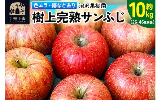 【先行受付】12月上旬より発送 【色ムラ・キズ等あり】樹上完熟サンフジ 約10kg（26～46玉前後） [先行予約 サンふじ サンフジ 林檎 リンゴ 家庭用 不揃い フルーツ 果物 【りんご】特集]