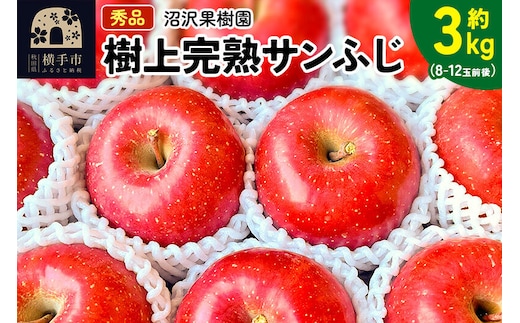 【先行受付】12月上旬より発送 贈り物にもおすすめ！サンフジ 秀品 約3kg（8～12玉前後） [先行予約 サンふじ サンフジ 林檎 リンゴ ギフト 贈答用 フルーツ 果物 【りんご】特集]