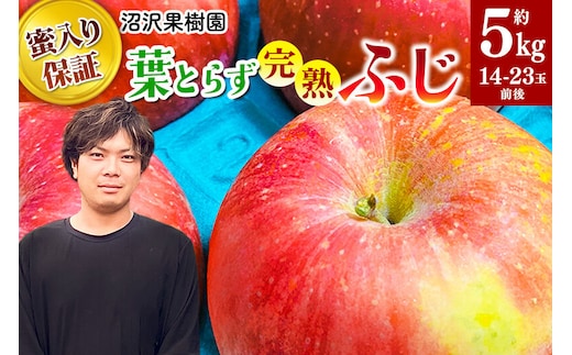 【先行受付】11月下旬より発送 《蜜ライトで蜜入り保証！》葉とらず完熟ふじ 約5kg りんご [先行予約 秋田県 横手市 林檎 リンゴ 果物 フルーツ ふじ フジ 【りんご】特集]