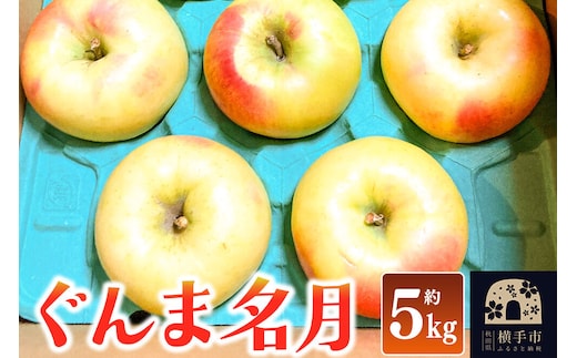 【先行受付】11月上旬より発送 ぐんま名月 ご家庭用 約5kg りんご リンゴ 林檎 [先行予約 りんご 林檎 リンゴ 群馬名月 果物 フルーツ 横手産 秋田産 秋田県産]