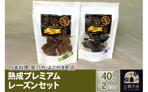 熟成プレミアムレーズンセット 40g×2パック [ドライフルーツ レーズン 枝付き ギフト]