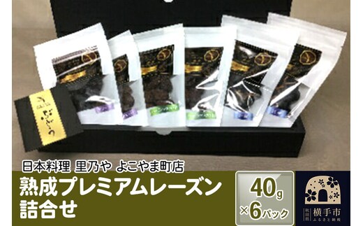 熟成プレミアムレーズン詰合せ 40g×6パック（各2） [ドライフルーツ レーズン 枝付き ギフト]