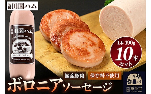 田園ハム ボロニアソーセージ 190g×10本セット [国産 豚肉 ソーセージ]
