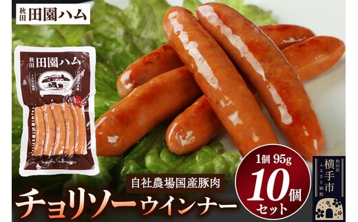 田園ハム チョリソー 95g×10個セット [国産 豚肉 ソーセージ ウインナー]