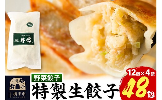 野菜餃子（豚肉）12個入×4袋 [餃子 ぎょうざ ギョウザ お惣菜 冷凍 国産 豚肉]