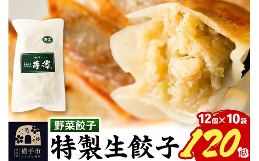 野菜餃子（豚肉）12個入×10袋 [餃子 ぎょうざ ギョウザ お惣菜 冷凍 国産 豚肉]