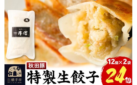 小籠包のような肉餃子（豚肉使用）12個入×2袋 [餃子 ぎょうざ ギョウザ お惣菜 冷凍 国産 豚肉]