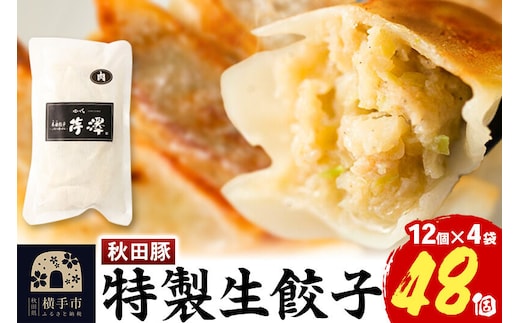 小籠包のような肉餃子（豚肉使用）12個入×4袋 [餃子 ぎょうざ ギョウザ お惣菜 冷凍 国産 豚肉]