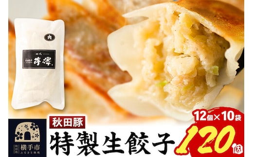 小籠包のような肉餃子（豚肉使用）12個入×10袋 [餃子 ぎょうざ ギョウザ お惣菜 冷凍 国産 豚肉]