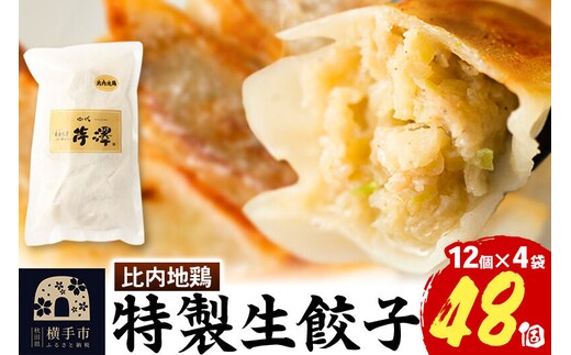 比内地鶏餃子 12個入×4袋 [餃子 ぎょうざ ギョウザ お惣菜 冷凍 国産 鶏肉]