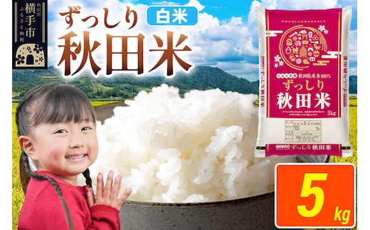 米 秋田県 横手市産 ブレンド米 令和7年産【白米】5kg（5kg×1袋） [米 お米 こめ 白米 精米 ブレンド米 小分け ご飯 ごはん 秋田県産 横手市]