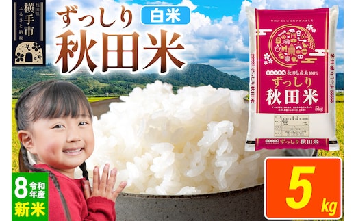《令和8年産 新米受付》米 秋田県 横手市産 ブレンド米【白米】5kg（5kg×1袋） [米 お米 こめ 白米 精米 ブレンド米 小分け ご飯 ごはん 秋田県産 横手市]