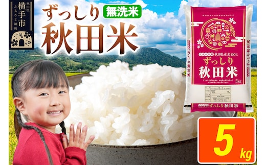 米 秋田県 横手市産 ブレンド米 令和7年産【無洗米】5kg（5kg×1袋） [米 お米 こめ 白米 無洗米 ブレンド米 小分け ご飯 ごはん 秋田県産 横手市]
