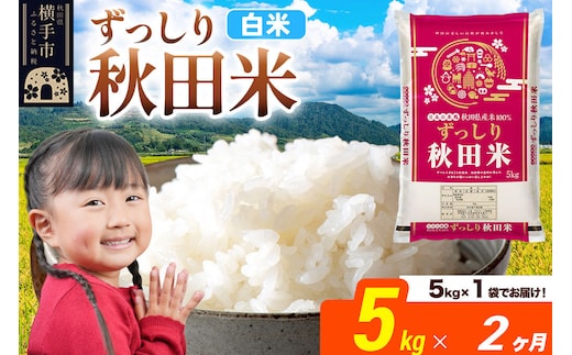 米《定期便2ヶ月》秋田県 横手市産 ブレンド米 令和7年産【白米】5kg（5kg×1袋） [米 お米 こめ 白米 精米 ブレンド米 小分け ご飯 ごはん 秋田県産 横手市]