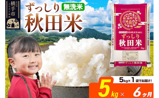 米《定期便6ヶ月》秋田県 横手市産 ブレンド米 令和7年産【無洗米】5kg（5kg×1袋） [米 お米 こめ 白米 無洗米 ブレンド米 小分け ご飯 ごはん 秋田県産 横手市]