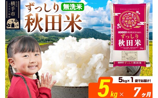 米《定期便7ヶ月》秋田県 横手市産 ブレンド米 令和7年産【無洗米】5kg（5kg×1袋） [米 お米 こめ 白米 無洗米 ブレンド米 小分け ご飯 ごはん 秋田県産 横手市]