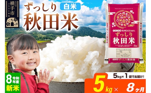 《令和8年産 新米受付》《定期便8ヶ月》秋田県 横手市産 ブレンド米【白米】5kg（5kg×1袋） [米 お米 こめ 白米 精米 ブレンド米 小分け ご飯 ごはん 秋田県産 横手市]