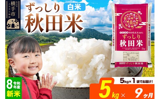 《令和8年産 新米受付》《定期便9ヶ月》秋田県 横手市産 ブレンド米【白米】5kg（5kg×1袋） [米 お米 こめ 白米 精米 ブレンド米 小分け ご飯 ごはん 秋田県産 横手市]
