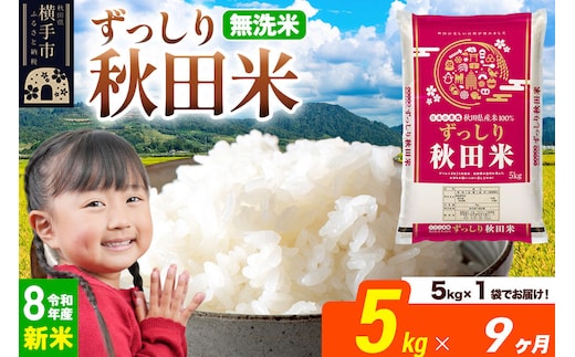 《令和8年産 新米受付》《定期便9ヶ月》秋田県 横手市産 ブレンド米【無洗米】5kg（5kg×1袋） [米 お米 こめ 白米 無洗米 ブレンド米 小分け ご飯 ごはん 秋田県産 横手市]