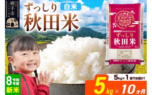 《令和8年産 新米受付》《定期便10ヶ月》秋田県 横手市産 ブレンド米【白米】5kg（5kg×1袋） [米 お米 こめ 白米 精米 ブレンド米 小分け ご飯 ごはん 秋田県産 横手市]