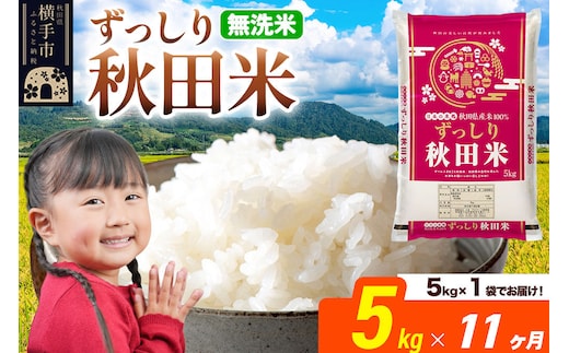 米《定期便11ヶ月》秋田県 横手市産 ブレンド米 令和7年産【無洗米】5kg（5kg×1袋） [米 お米 こめ 白米 無洗米 ブレンド米 小分け ご飯 ごはん 秋田県産 横手市]