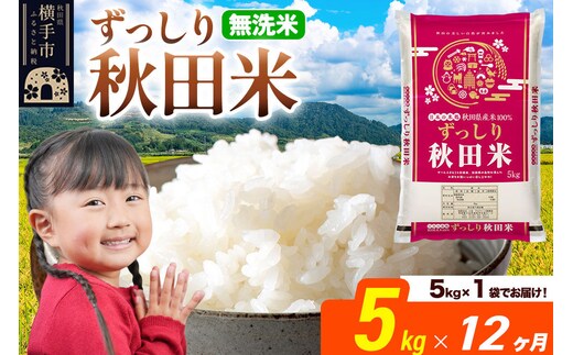 米《定期便12ヶ月》秋田県 横手市産 ブレンド米 令和7年産【無洗米】5kg（5kg×1袋） [米 お米 こめ 白米 無洗米 ブレンド米 小分け ご飯 ごはん 秋田県産 横手市]