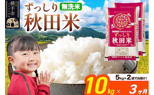 米《定期便3ヶ月》秋田県 横手市産 ブレンド米 令和7年産【無洗米】10kg（5kg×2袋） [米 お米 こめ 白米 無洗米 ブレンド米 小分け ご飯 ごはん 秋田県産 横手市]
