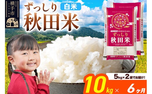 米《定期便6ヶ月》秋田県 横手市産 ブレンド米 令和7年産【白米】10kg（5kg×2袋） [米 お米 こめ 白米 精米 ブレンド米 小分け ご飯 ごはん 秋田県産 横手市]
