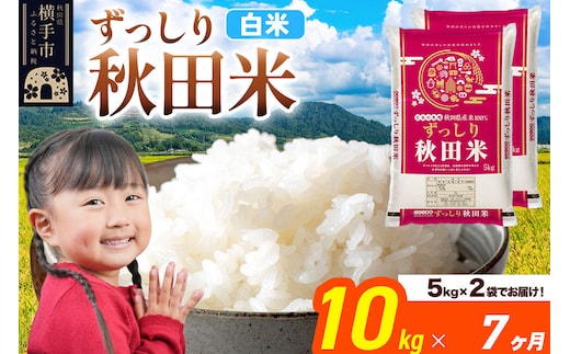 米《定期便7ヶ月》秋田県 横手市産 ブレンド米 令和7年産【白米】10kg（5kg×2袋） [米 お米 こめ 白米 精米 ブレンド米 小分け ご飯 ごはん 秋田県産 横手市]