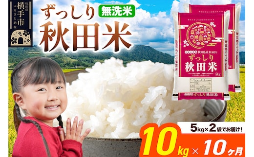 米《定期便10ヶ月》秋田県 横手市産 ブレンド米 令和7年産【無洗米】10kg（5kg×2袋） [米 お米 こめ 白米 無洗米 ブレンド米 小分け ご飯 ごはん 秋田県産 横手市]