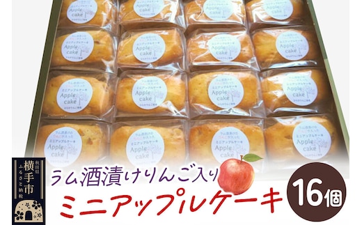 ラム酒漬けのりんごが入ったミニアップルケーキ 16個入り [ドライフルーツ 国産 リンゴ 半生タイプ パーティ ラム酒漬け おつまみ ケーキ ドライアップル ふじ]