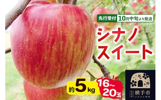 【先行受付】10月中旬より発送 シナノスイート約5kg（16～20玉）りんご 秋田県横手市 [先行予約 秋田県 横手市 林檎 リンゴ 果物 フルーツ]