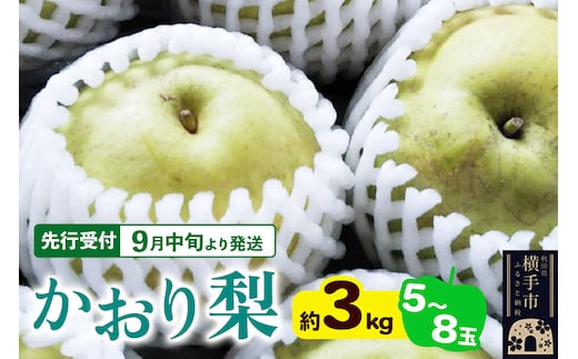 【先行受付】9月中旬より発送 かおり約3kg（5～8玉）かおり梨 大玉品種 青梨 和梨 秋田県横手市 [先行予約 秋田県 横手市 ナシ なし 果物 フルーツ]