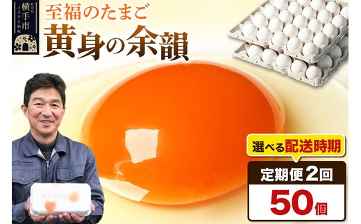 【常温発送】《定期便2ヶ月》黄身の余韻 50個（業務用）【発送時期が選べる】2か月 2ヵ月 2カ月 2ケ月 卵 玉子 たまご 開始時期選べる [東海林養鶏場 至福のたまご 黄身の余韻 卵 玉子 タマゴ]