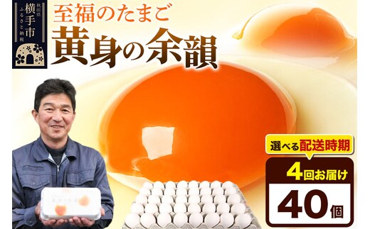 【常温発送】《定期便4ヶ月》黄身の余韻 40個（業務用）【発送時期が選べる】東海林養鶏場 黄身の余韻 卵 玉子 たまご タマゴ 4か月 4ヵ月 4カ月 4ケ月 開始時期選べる [東海林養鶏場 黄身の余韻 卵 玉子 たまご タマゴ 4か月 4ヵ月 4カ月 4ケ月 開始時期選べる]